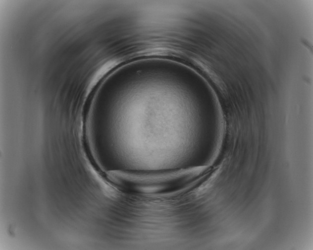 X0000097781418200803141757