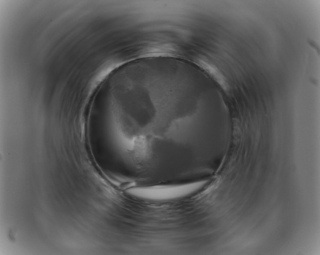 X0000097781419200803141757