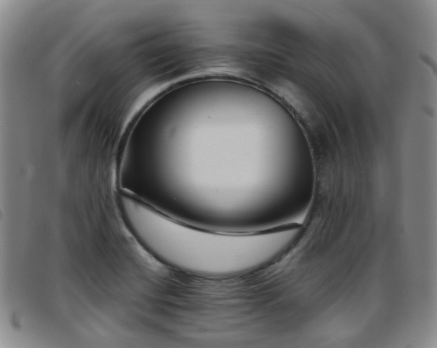 X0000097781420200803141757
