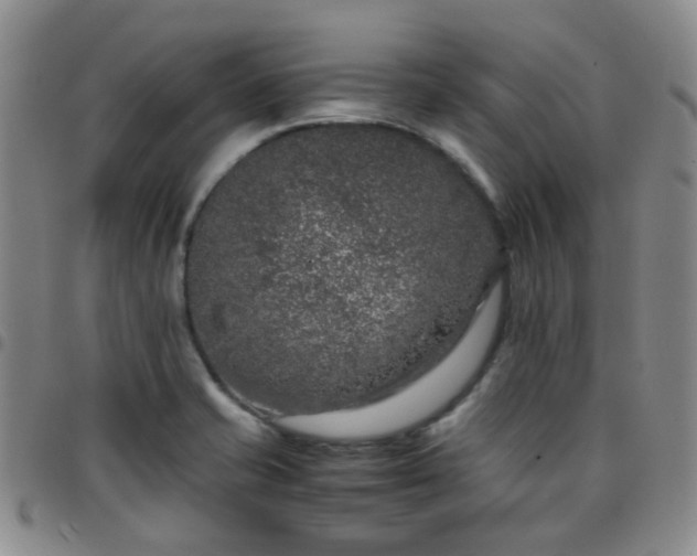 X0000097781421200803141757