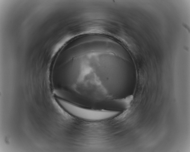 X0000097781422200803141757