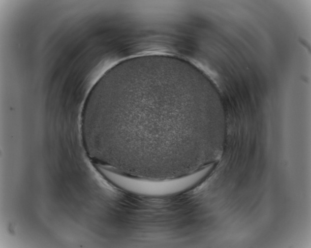 X0000097781423200803141757