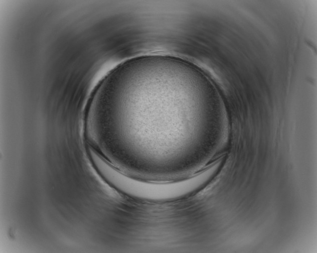 X0000097781424200803141757