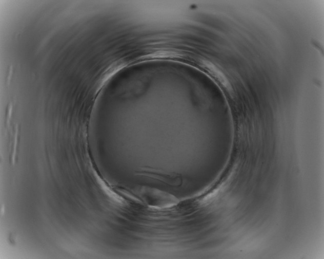 X0000097781425200803141757