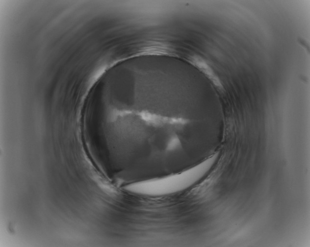 X0000097781427200803141757