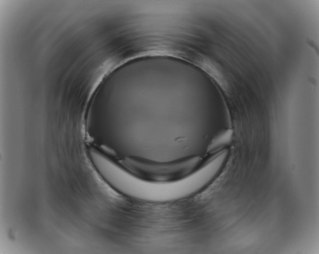 X0000097781428200803141757