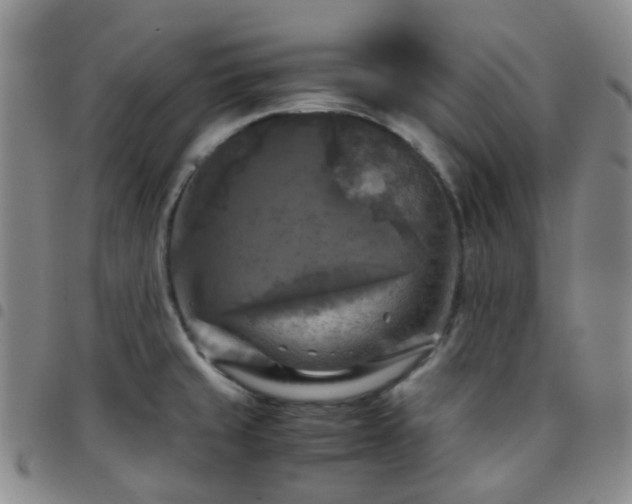 X0000097781429200803141757