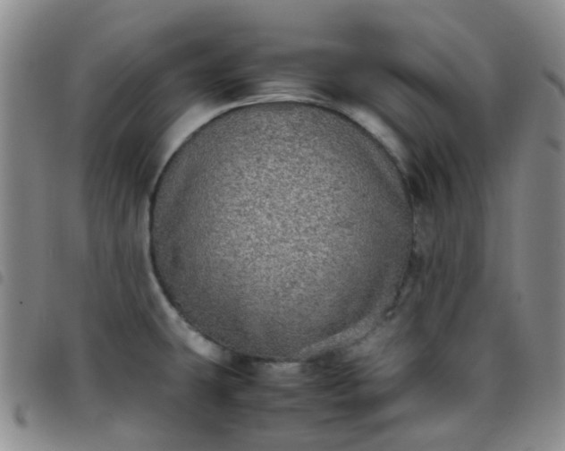 X0000097781431200803141757