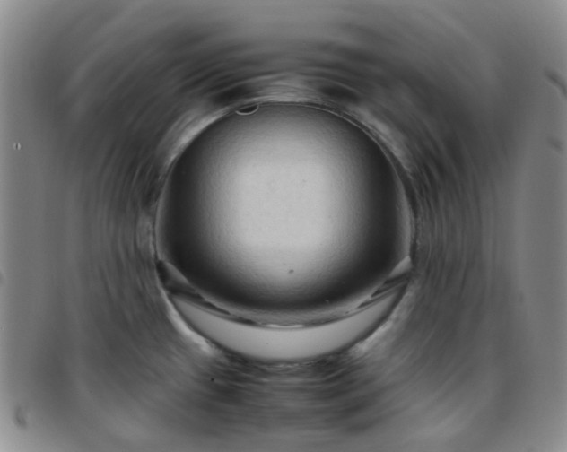 X0000097781433200803141757