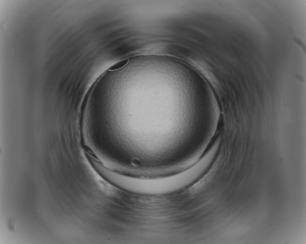 X0000097781434200803141757