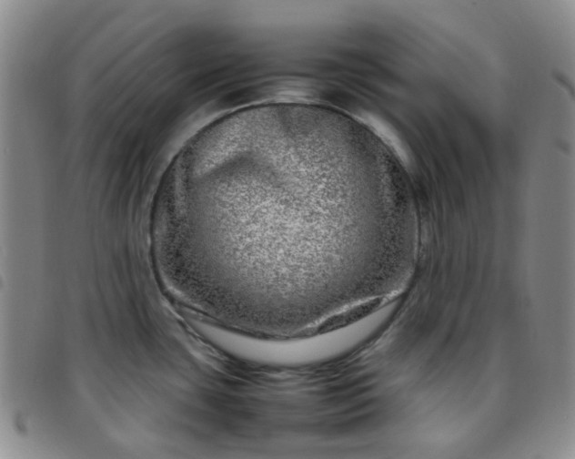 X0000097781435200803141757