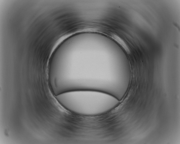 X0000097781436200803141757