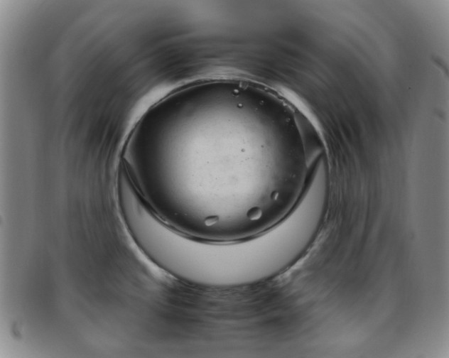 X0000097781437200803141757