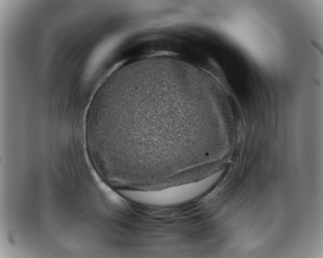 X0000097781439200803141757
