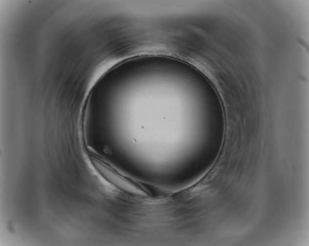 X0000097781440200803141757
