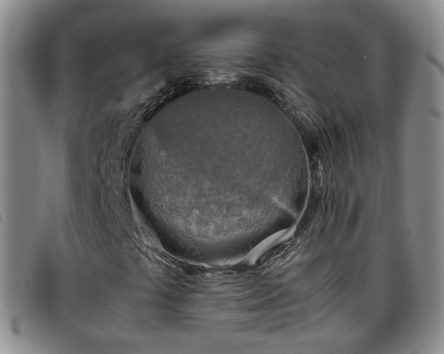 X0000097781441200803141757