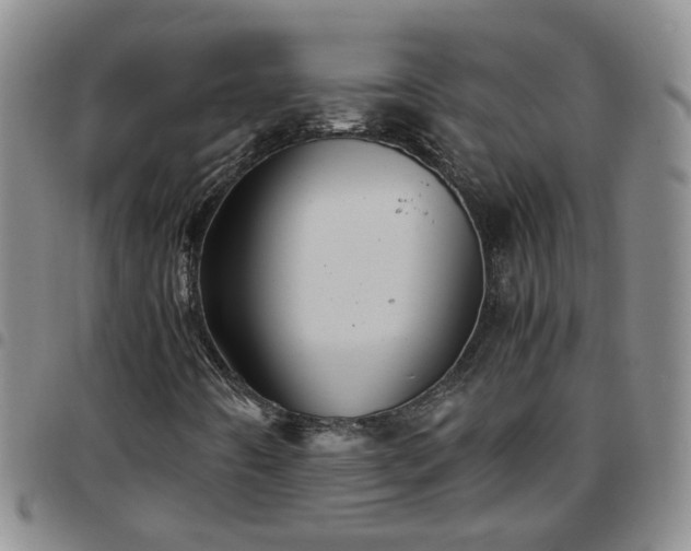 X0000097781442200803141757