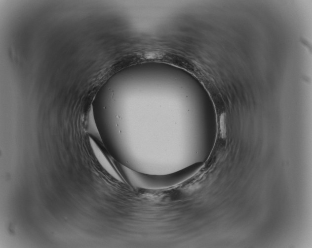 X0000097781443200803141757