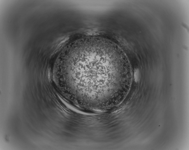 X0000097781444200803141757