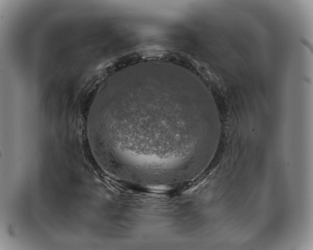 X0000097781445200803141757