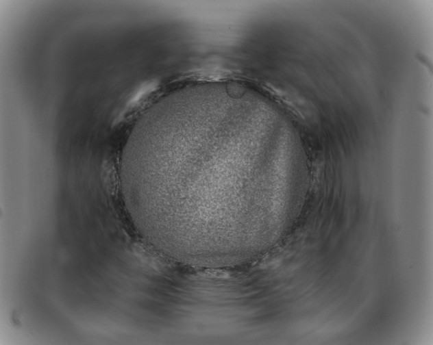 X0000097781446200803141757