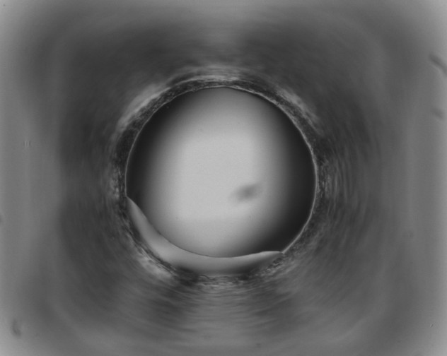 X0000097781448200803141757