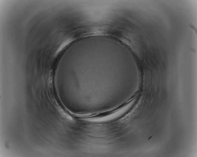 X0000097781450200803141757