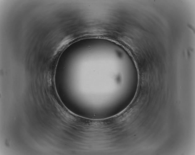 X0000097781451200803141757