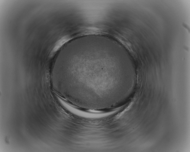 X0000097781453200803141757
