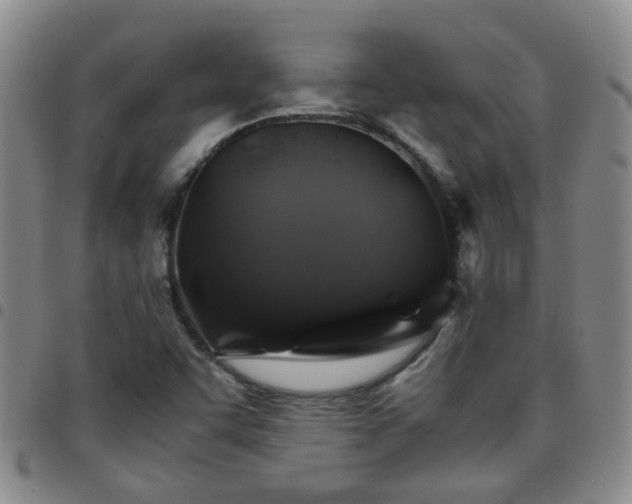 X0000097781455200803141757