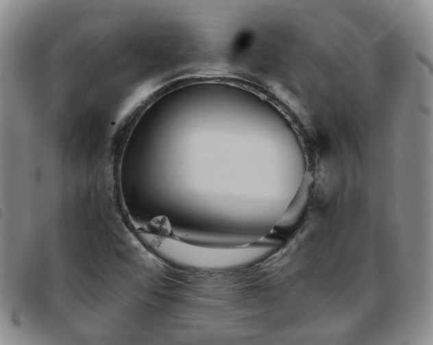 X0000097781456200803141757