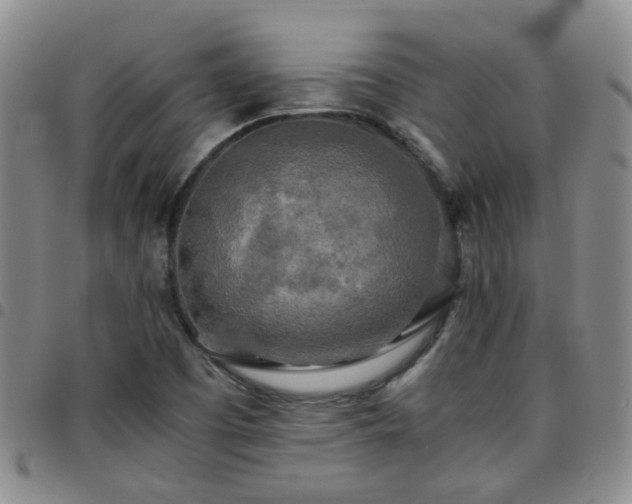 X0000097781457200803141757