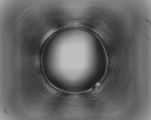 X0000097781458200803141757