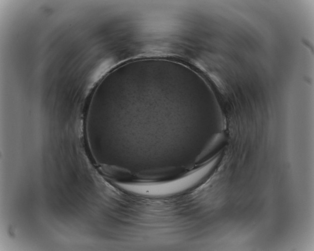 X0000097781459200803141757