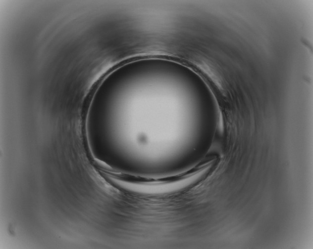 X0000097781460200803141757