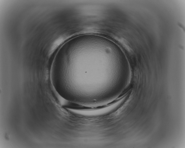 X0000097781461200803141757