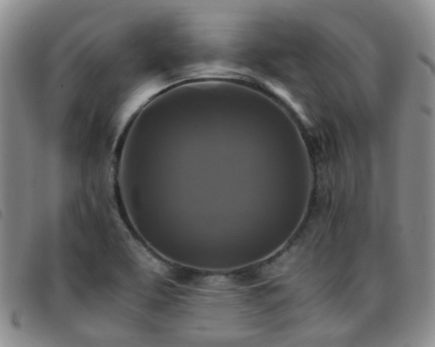 X0000097781463200803141757