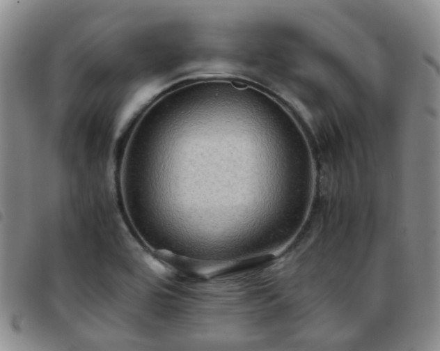 X0000097781464200803141757
