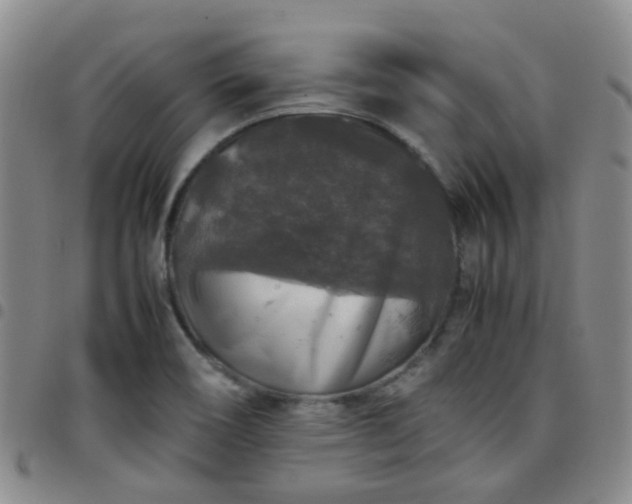 X0000097781466200803141757