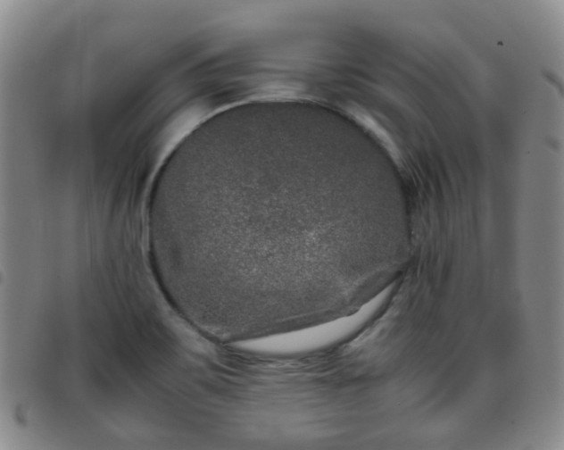 X0000097781467200803141756