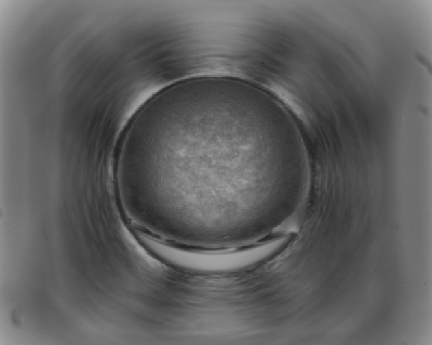 X0000097781468200803141756