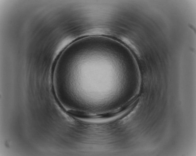 X0000097781469200803141756