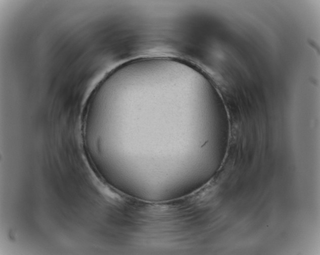 X0000097781470200803141756