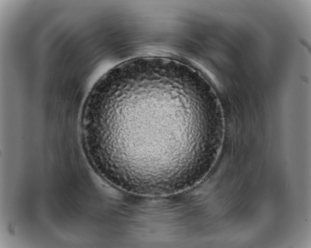 X0000097781471200803141756