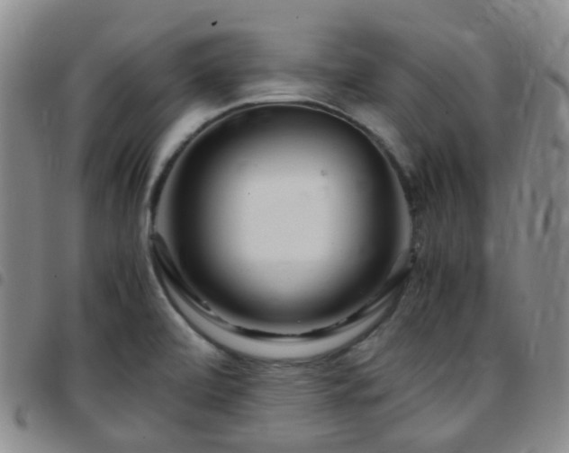 X0000097781472200803141756