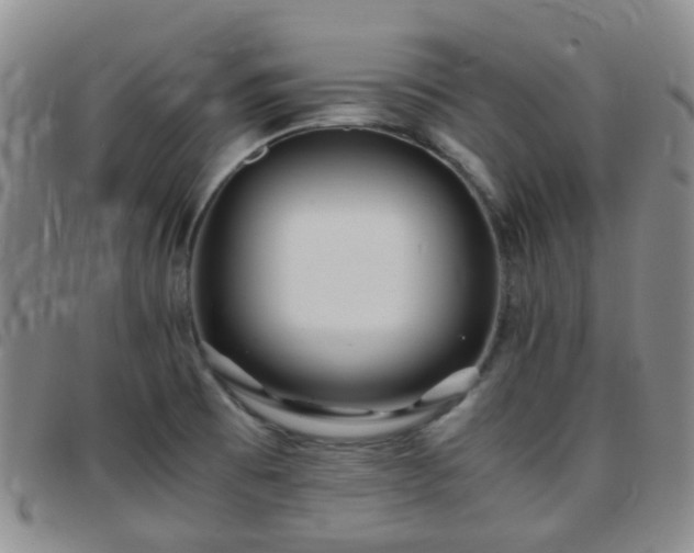 X0000097781473200803141756