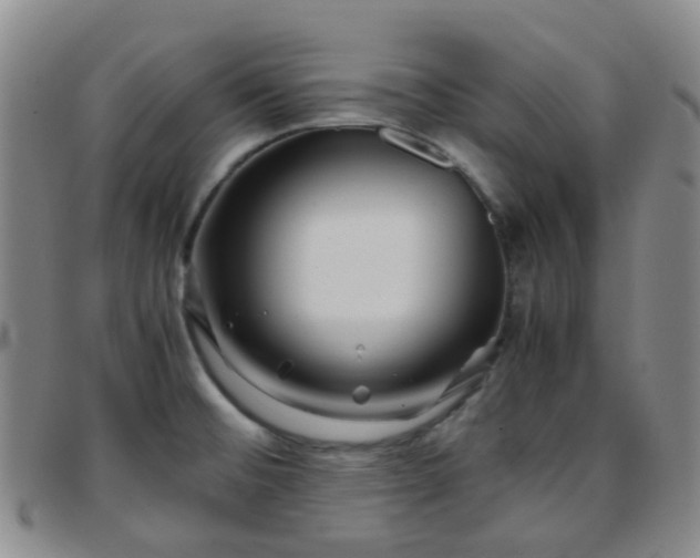 X0000097781476200803141756