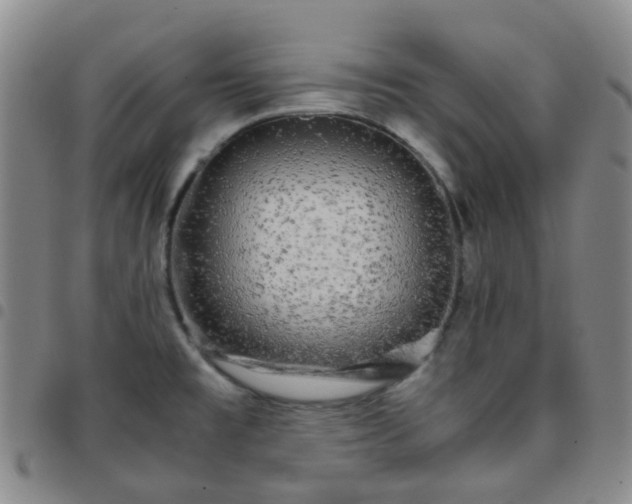 X0000097781477200803141756