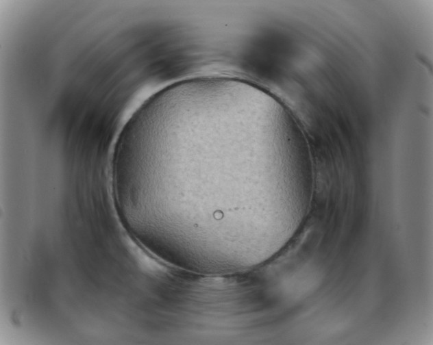 X0000097781478200803141756