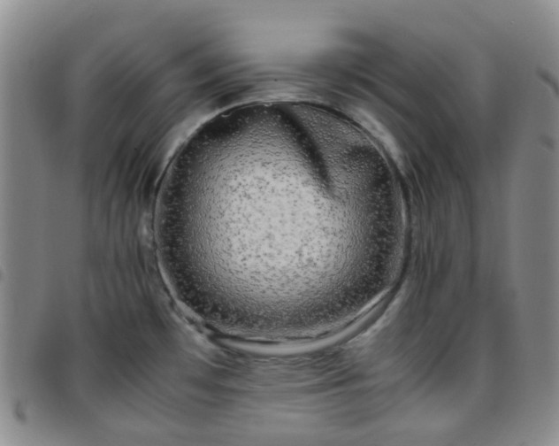 X0000097781481200803141756